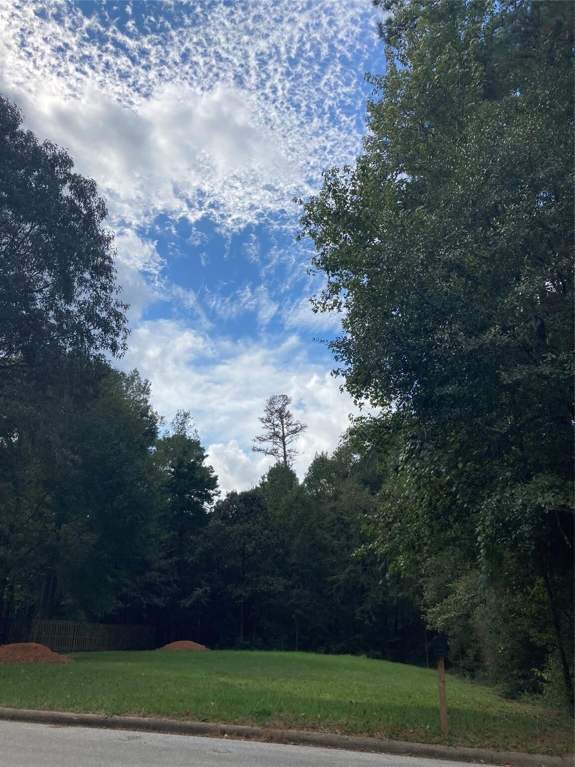 Property Photo: 3348 Knob Oaks Drive TX 77340