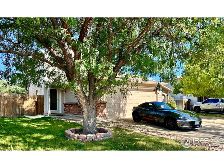 Property Photo:  12646 Elm St  CO 80241 