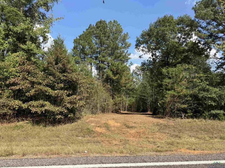 Property Photo:  000 Fm 2327  TX 75572 