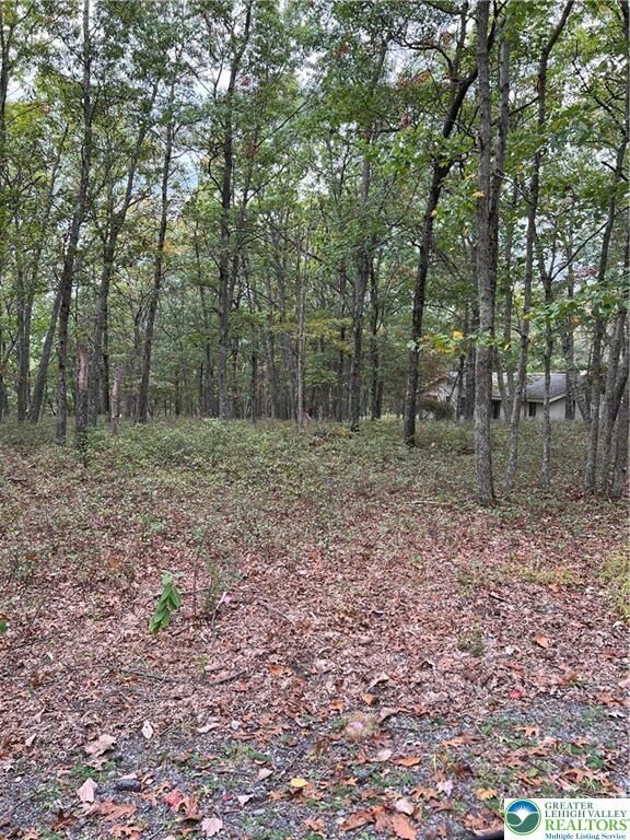 Property Photo: 275 Forest Drive PA 18325