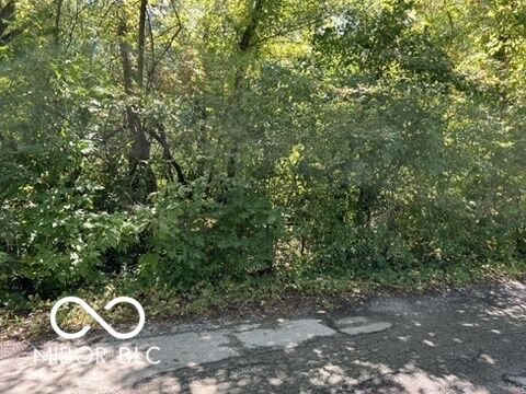 3011 W 78th Street  Indianapolis IN 46268 photo