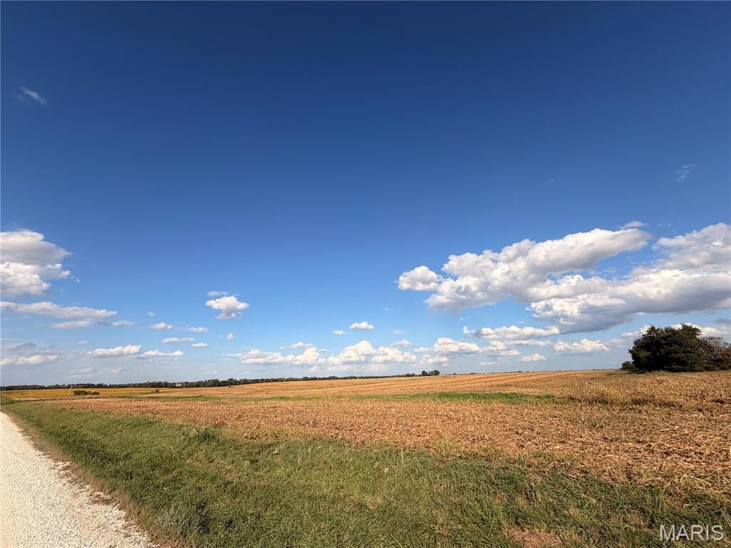 Property Photo: 81 Acre Audrain 695 MO 63359