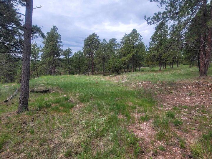 24653 Outback Trail  Hermosa SD 57744 photo