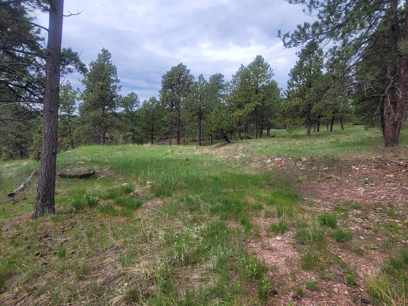 Property Photo:  24653 Outback Trail  SD 57744 
