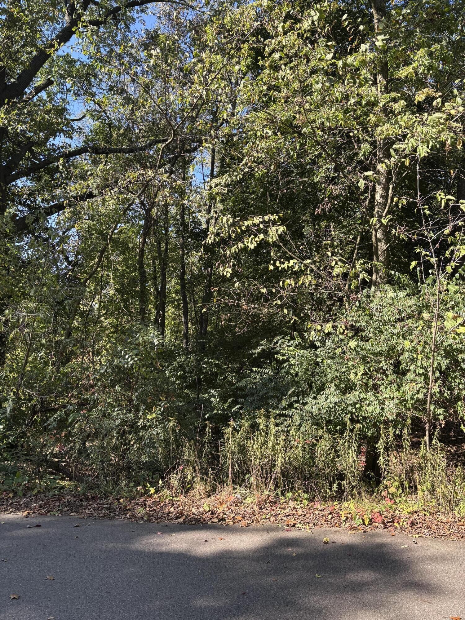 Property Photo: 665 Shields Street MI 49048