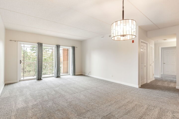 Property Photo: 77 N Wolf Road 206 IL 60164