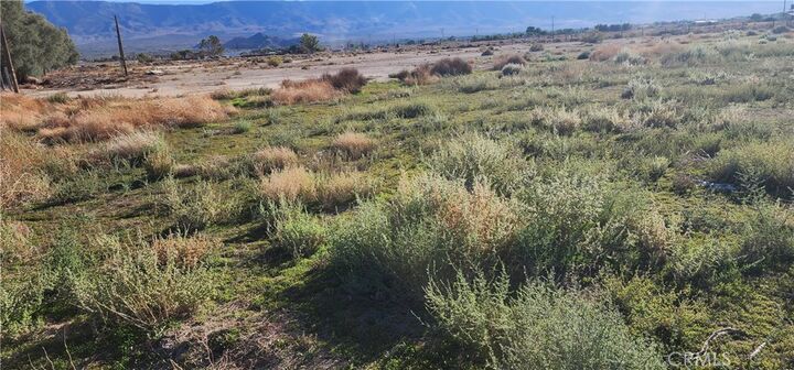 Property Photo:  0 Rabbit Springs Road  CA 92356 