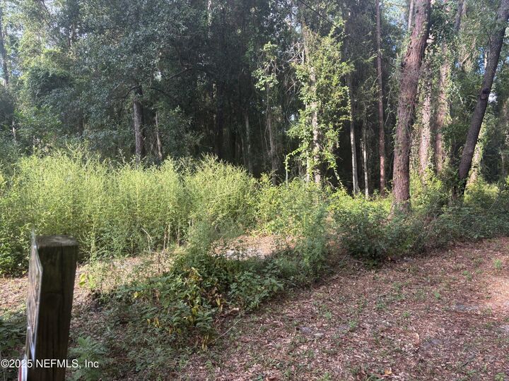 3125 Bliss Road  Orange Park FL 32065 photo