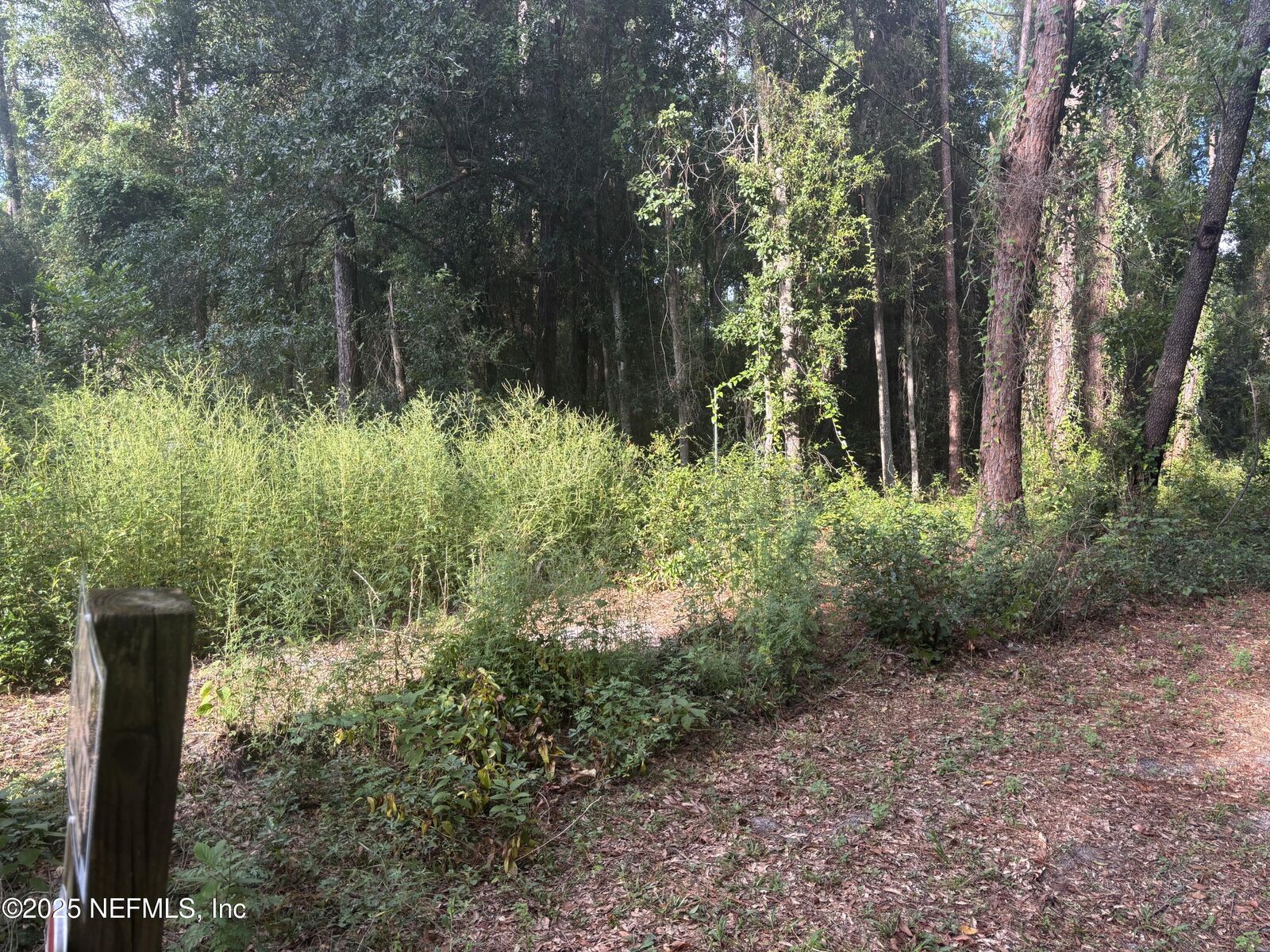 Property Photo:  3125 Bliss Road  FL 32065 