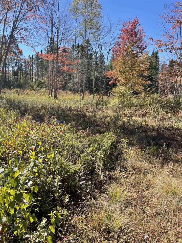 Property Photo:  T-1 Upper Clyde Road  NS B0T 1W0 