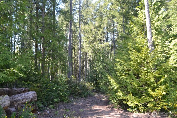 Property Photo: 7975 Seabeck Highway NW WA 98312