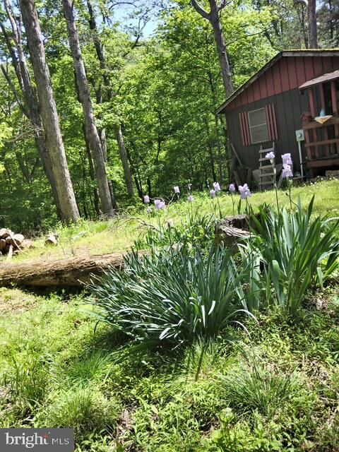 63 Capella Court  Great Cacapon WV 25422 photo