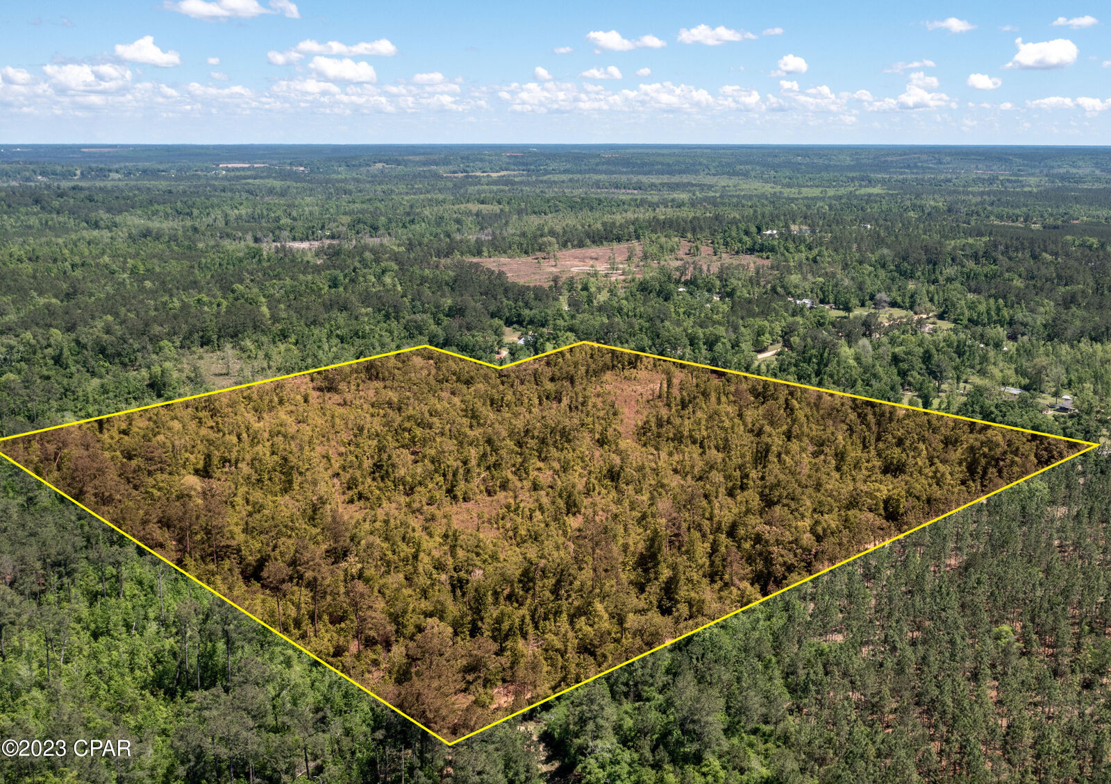 Property Photo: 00 Pioneer Road FL 32428