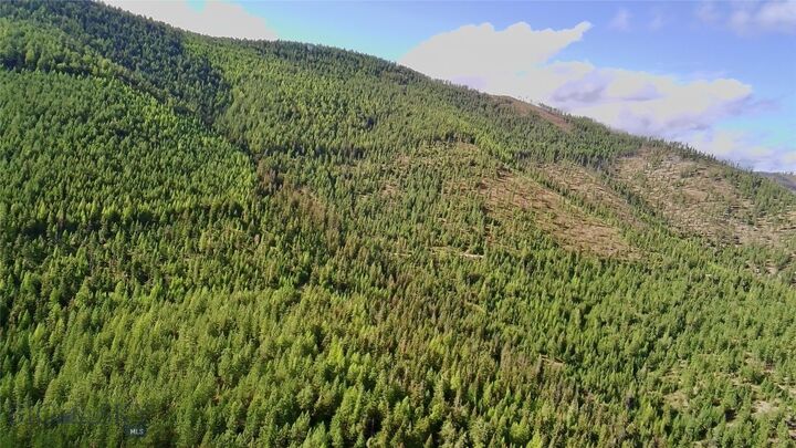 Property Photo:  0 W Fork Combest Creek Road  MT 59859 