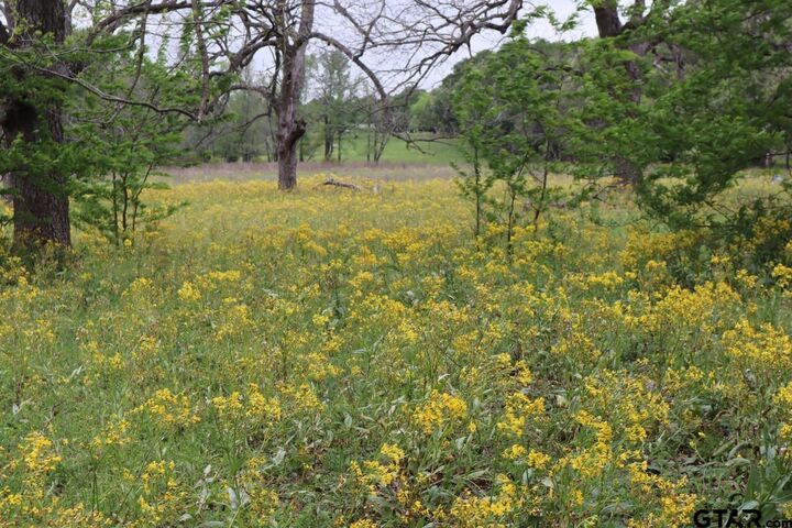 Property Photo: Tbd Rs County Road 2365 TX 75410