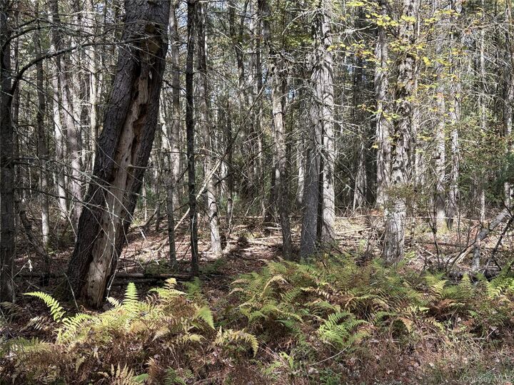 Property Photo: 17 Lot 17 Desmond Crossing NY 12720