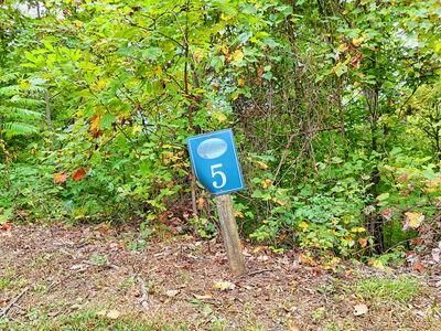 Property Photo: Lot 5 Skyview Drive NC 28904