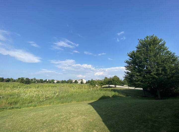 Property Photo: 15226 Pinewood Road IL 60441