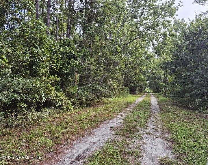 Property Photo: 214 Dogwood Avenue FL 32139