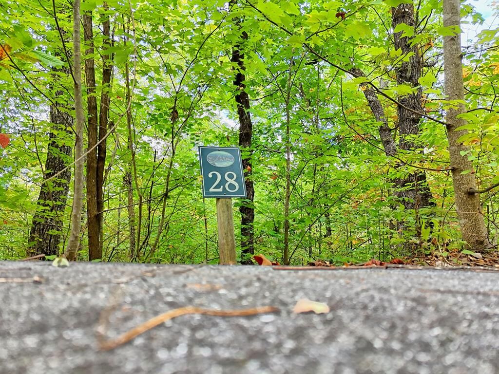 Property Photo: Lot 28 Skyview Drive NC 28904