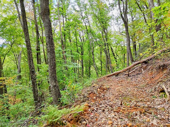 Property Photo: Lot 30 Skyview Drive NC 28904