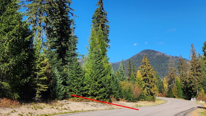 Property Photo:  254 S Beargrass Circle  MT 59937 