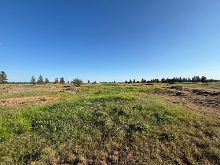 19456 S Harrison Rd  Edwall WA 99008 photo