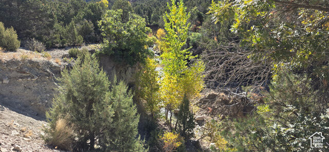Property Photo: 1 Willow Creek Rd UT 84654