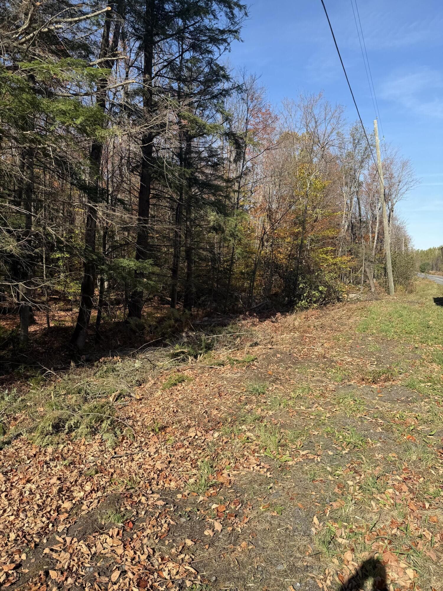 Property Photo: 000 Rand Hill Road NY 12910