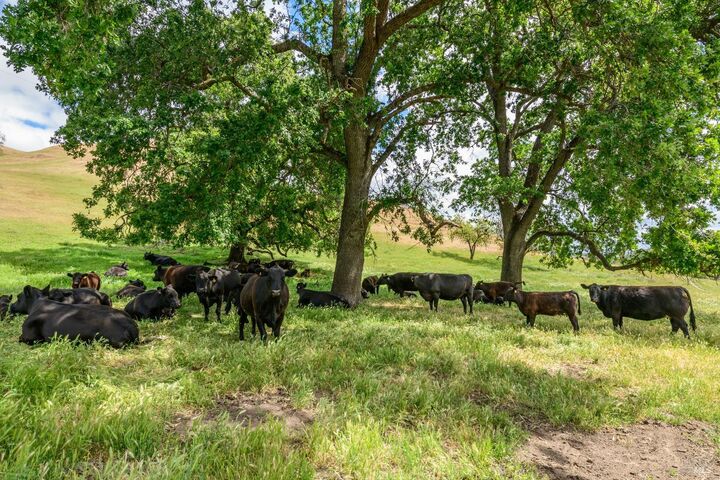 Property Photo:  0 Gibson Canyon Road  CA 95688