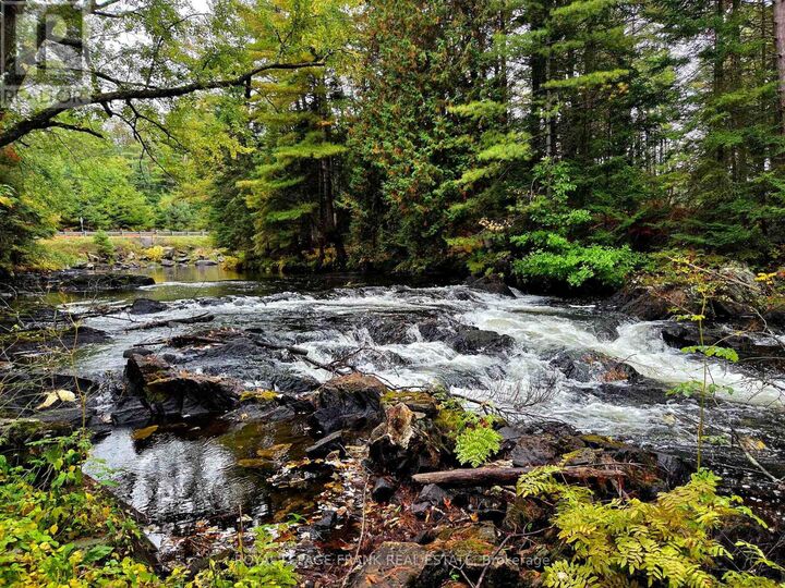 Property Photo:  8847 Highway 28  ON K0L 1A0