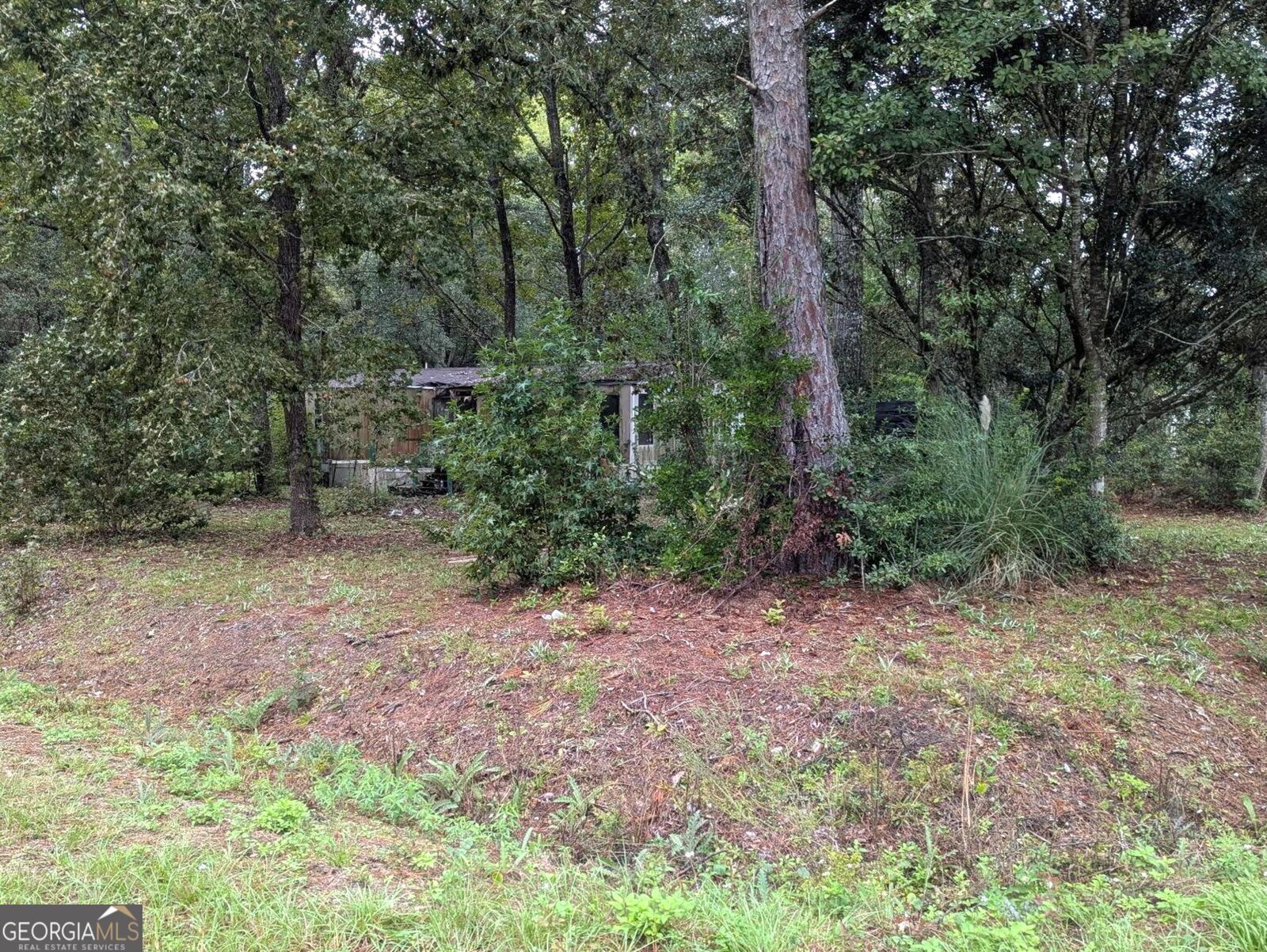 Property Photo:  101 Ritch Drive  GA 31525 