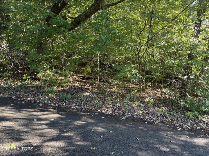 Property Photo:  Reagan St  TN 37752 