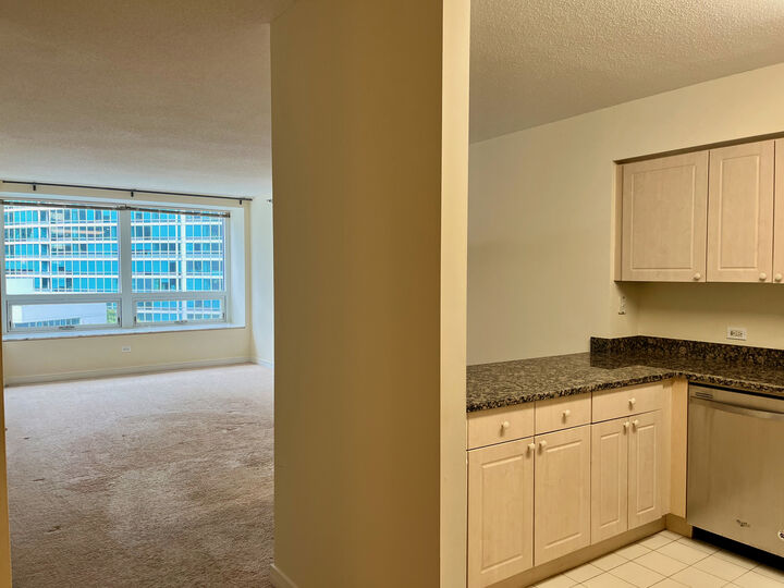 Property Photo:  512 N McClurg Court 1012  IL 60611 