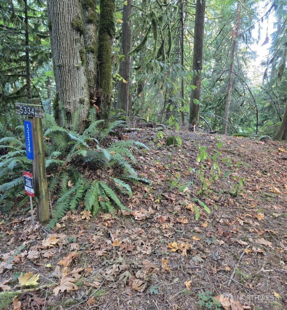 Property Photo:  5320  279th Avenue NE  WA 98053 