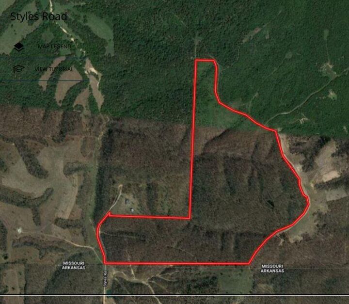Property Photo:  Tract 6 Styles Road  MO 64854 