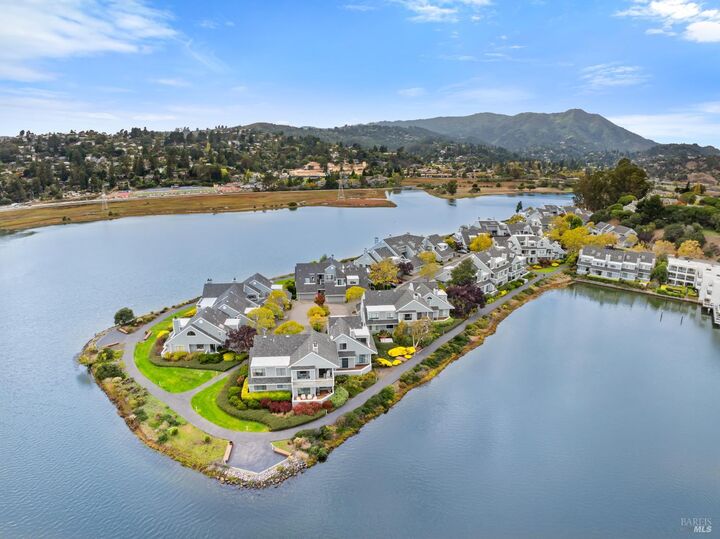 6033 Shelter Bay Avenue  Mill Valley CA 94941 photo