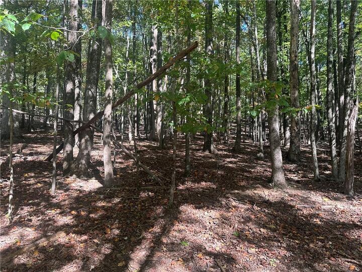 Property Photo: Lt1352 Willow Terrace GA 30143