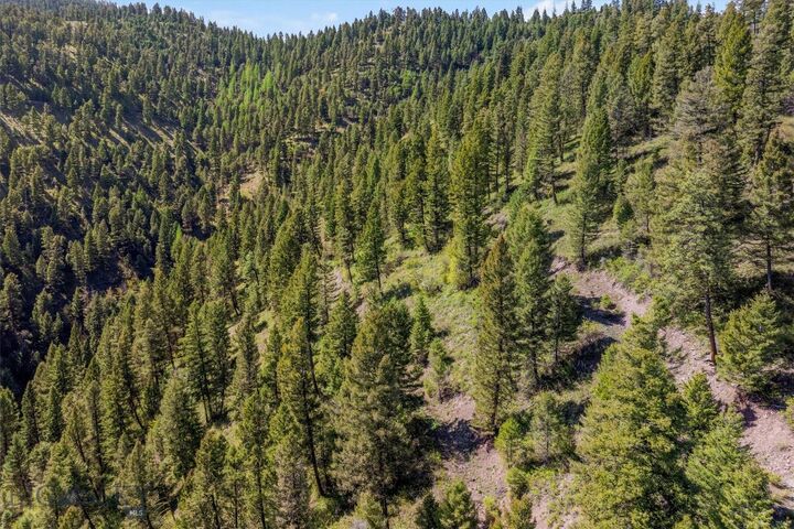 Property Photo:  25575 Patter Spur Road  MT 59825 