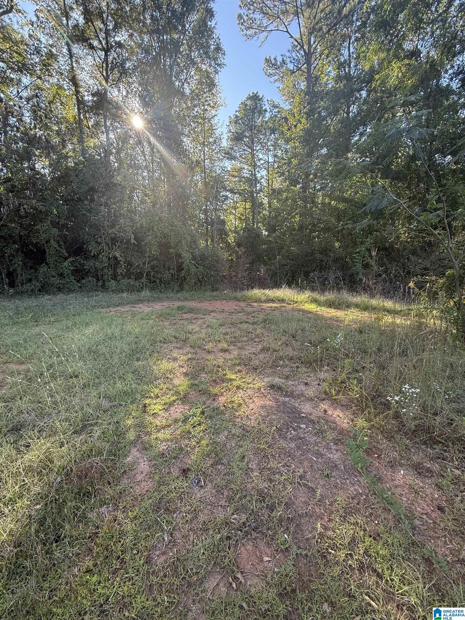 Property Photo: 118 Slaughter Street None AL 35072