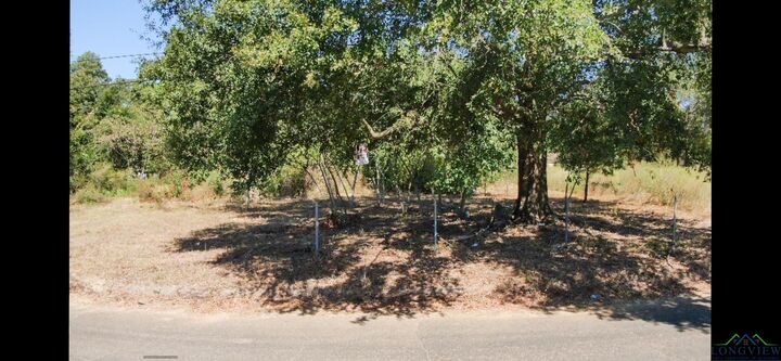 Property Photo: 2812 Hendrcks St TX 75647