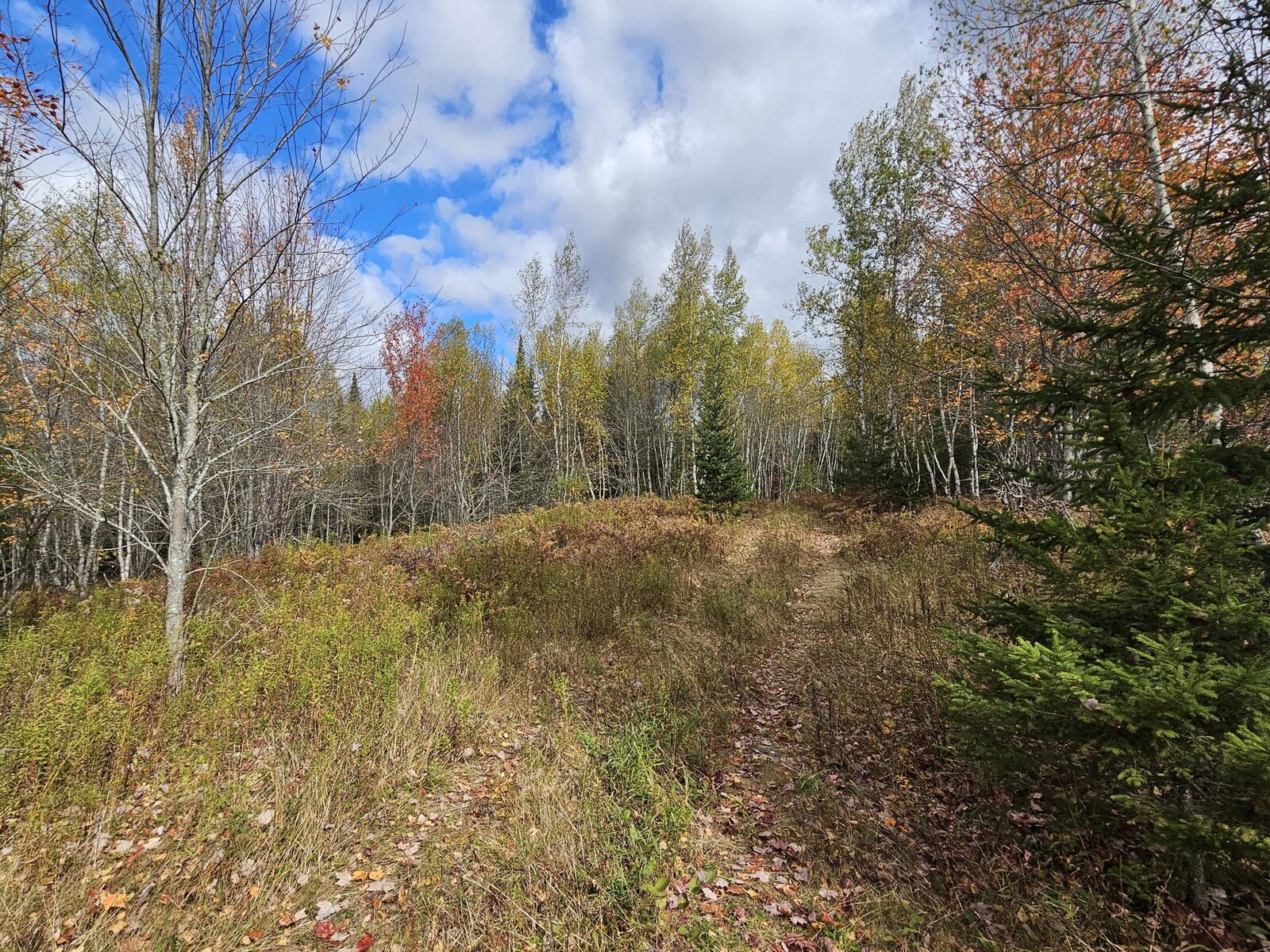 Property Photo: Map R09, Lot 12, Fox Run Drive ME 04605