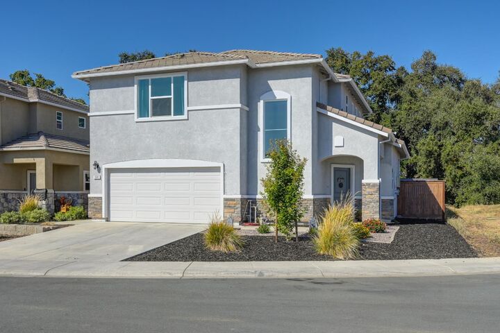1041 Willow Drive  Ione CA 95640 photo
