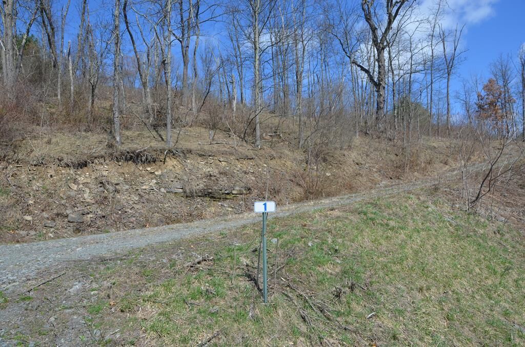 Property Photo: Lot 1A Hemlock Hills Rd PA 18848