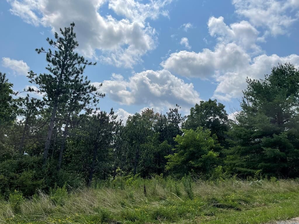 Property Photo: Lot 5A Hemlock Hills Rd PA 18848