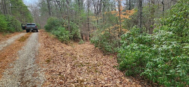 Property Photo: Lot 18 Gray Fox Trail GA 30512