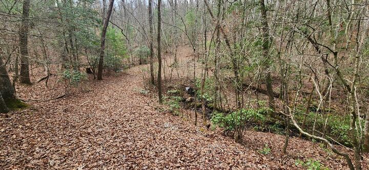 Property Photo: Lot 18 Gray Fox Trail GA 30512