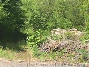 Property Photo: 234 Flanagan Road NB E3C 2E8
