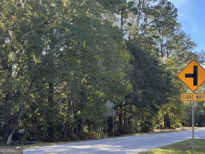 Property Photo: 0 US Highway 17 GA 31565