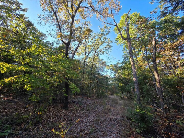 Property Photo:  Lot 466 Cr-4710  TX 75770